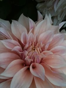 Psychosexual Therapy