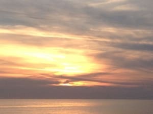 Individual Psychotherapy - Therapy for the soul